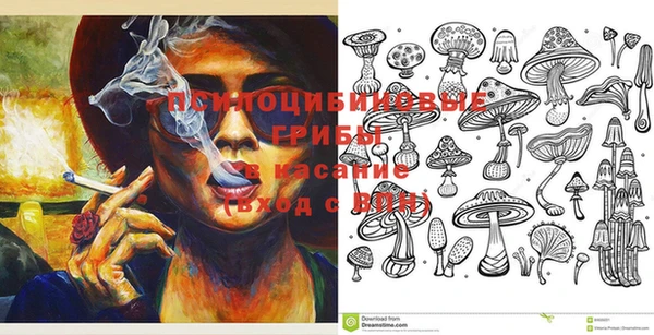 хмурый Лагань