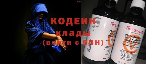 хмурый Лагань
