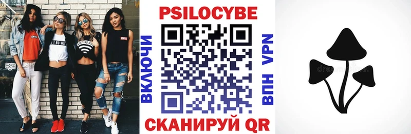 OMG tor  Новошахтинск  Галлюциногенные грибы мицелий 