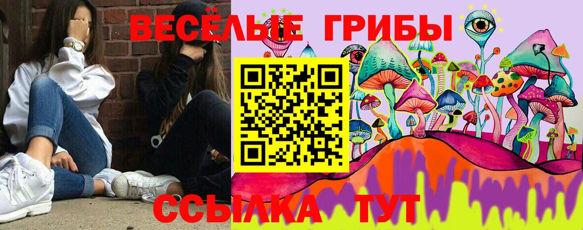 Галлюциногенные грибы Psilocybine cubensis  Вход с VPN  Новошахтинск 
