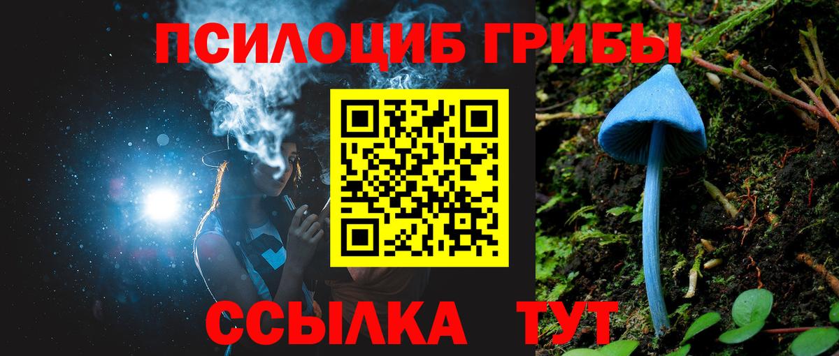 Псилоцибиновые грибы Magic Shrooms Новошахтинск