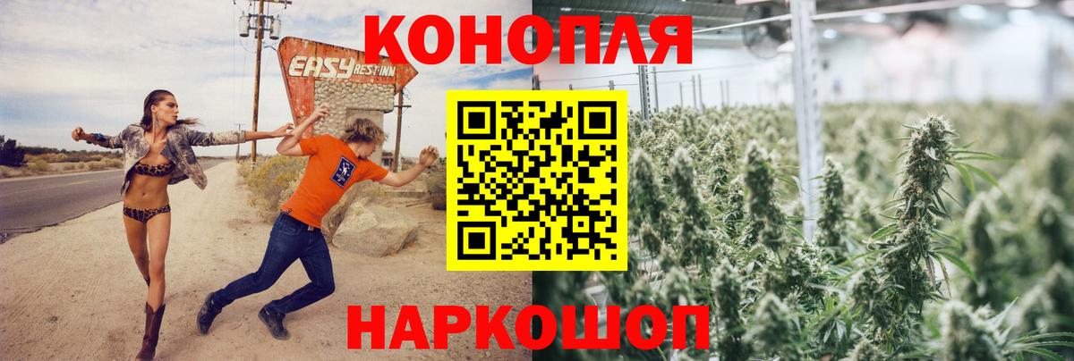Каннабис White Widow Новошахтинск